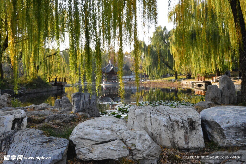 公园风景 