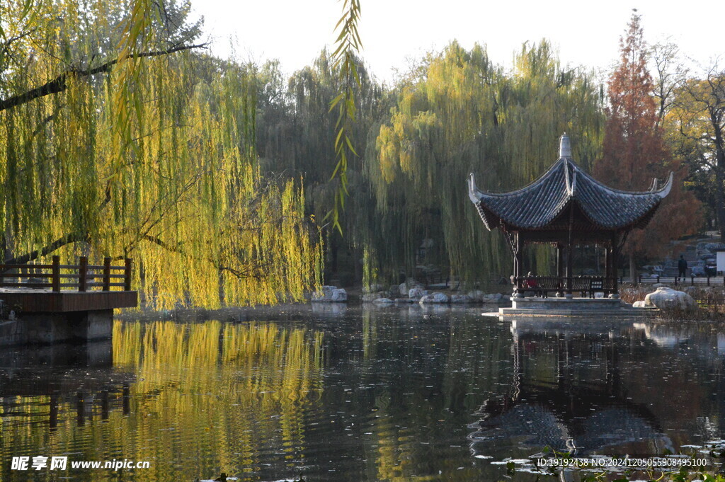 公园风景 
