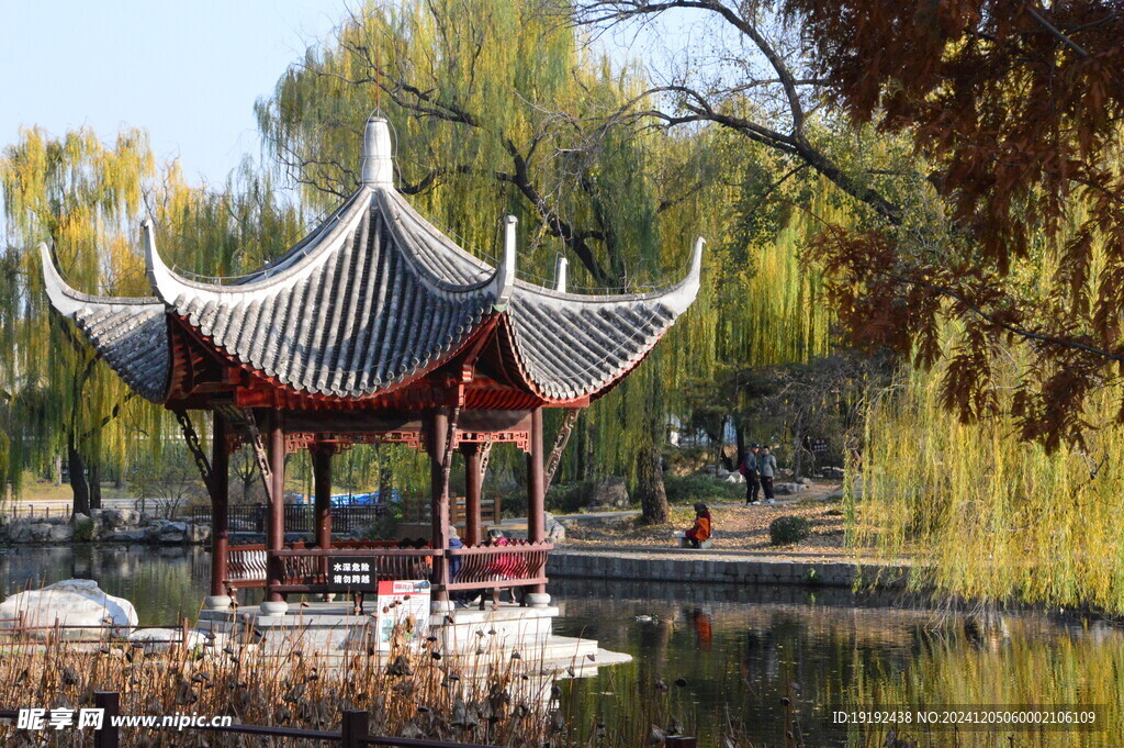 公园风景  