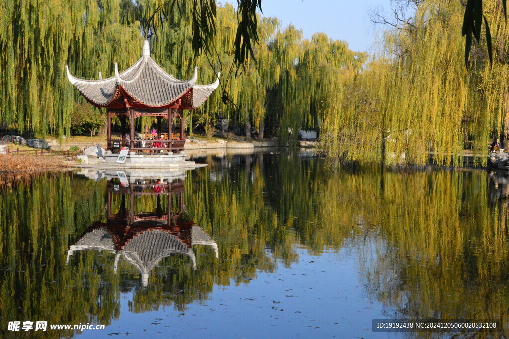 公园风景  