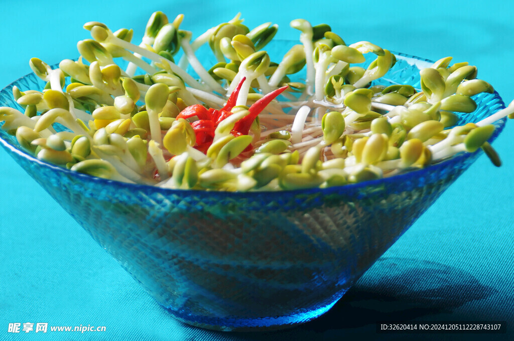 豆芽