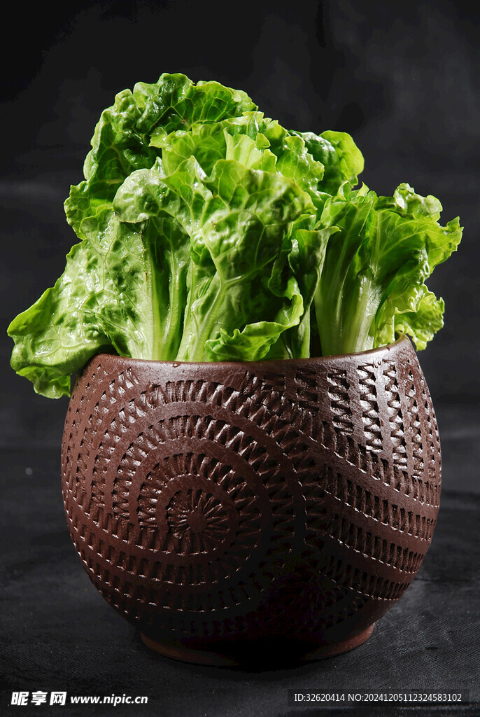 生菜