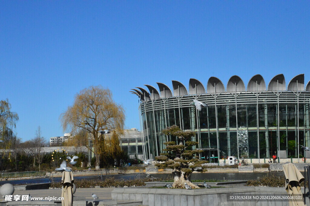 公园风景 