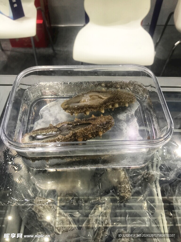 海参