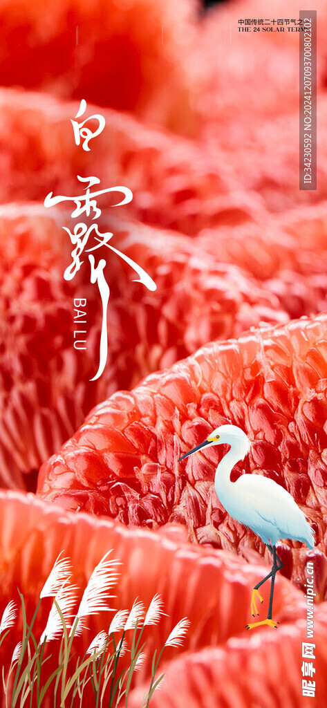 白露