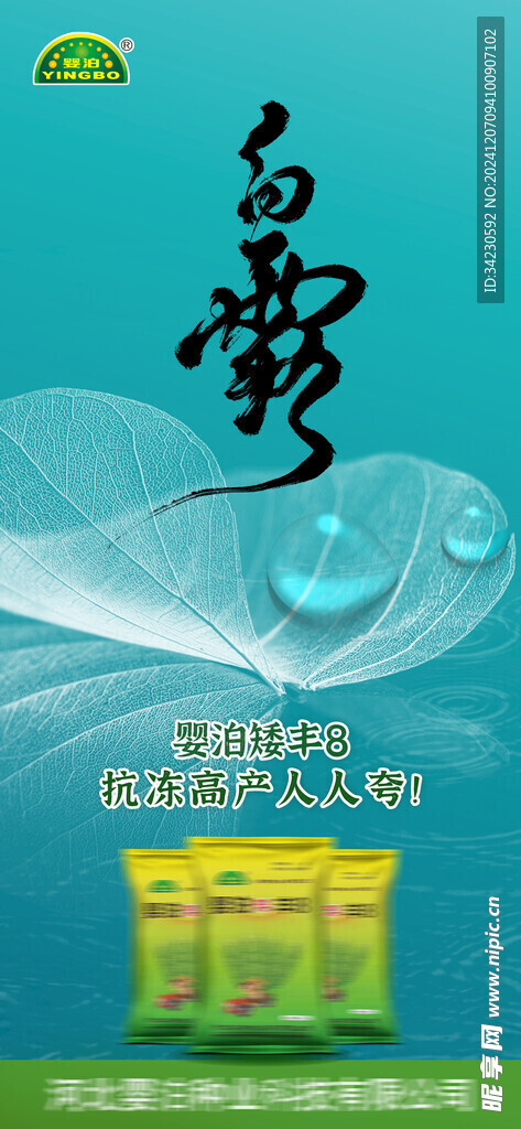 白露
