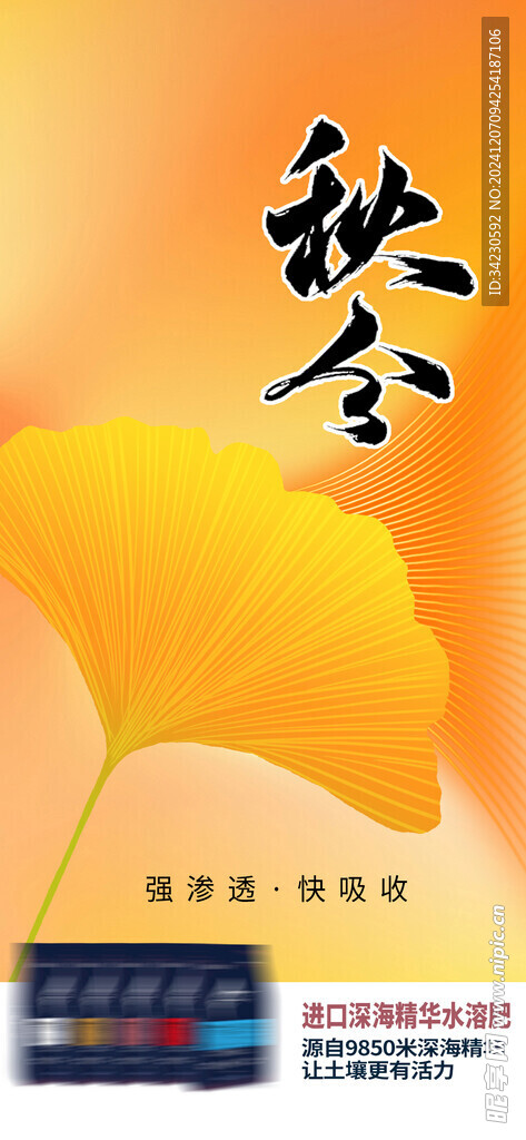 秋分