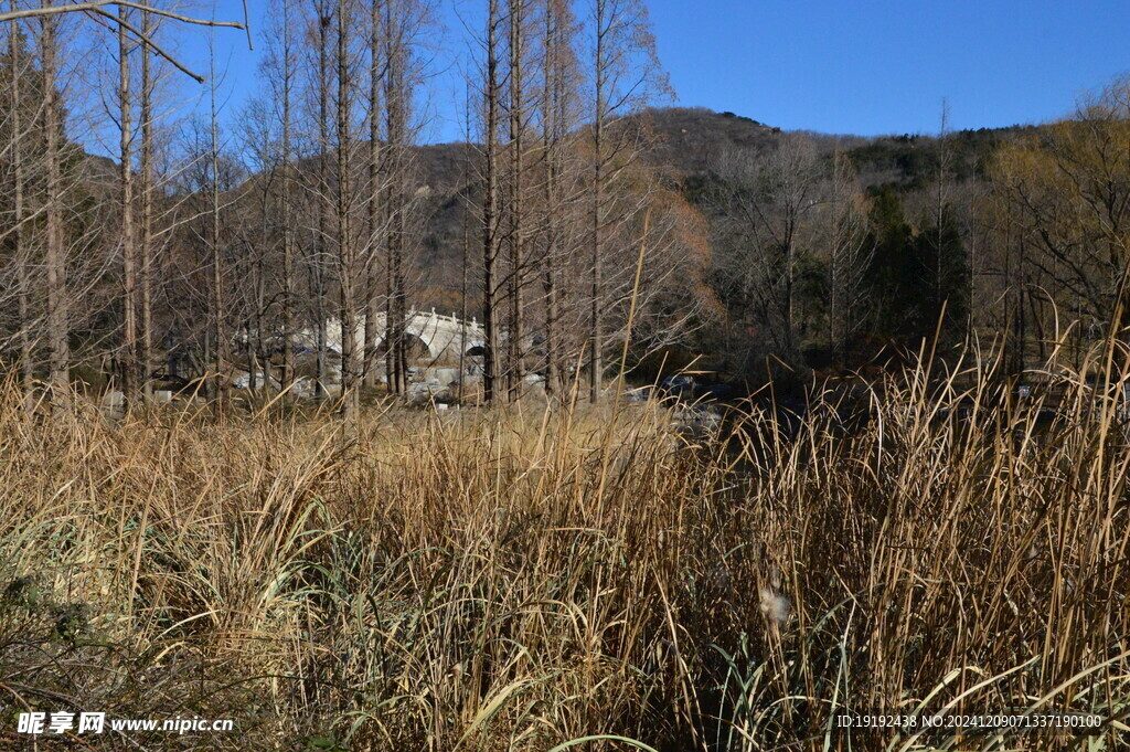 公园风景 