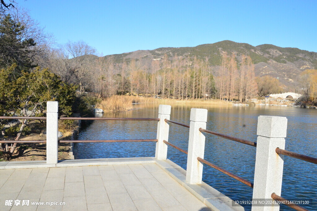 公园风景  
