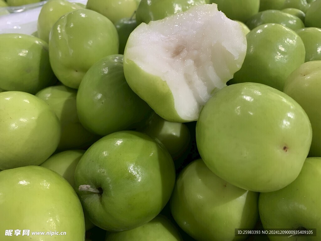 大青枣