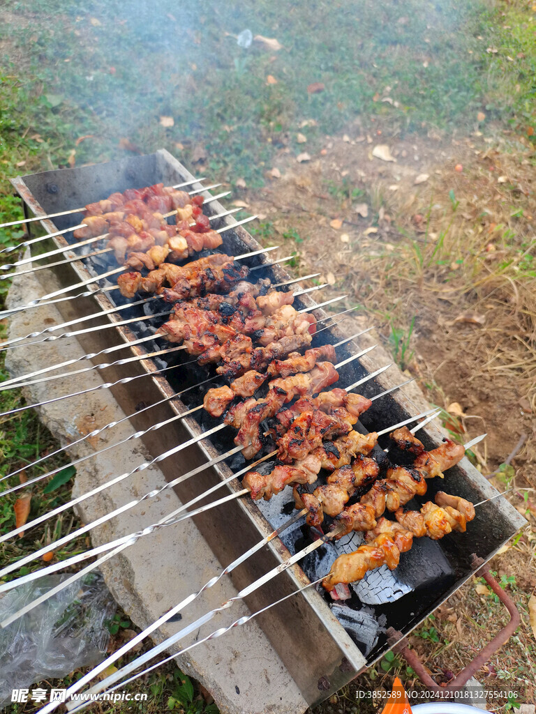 烧烤烤肉串
