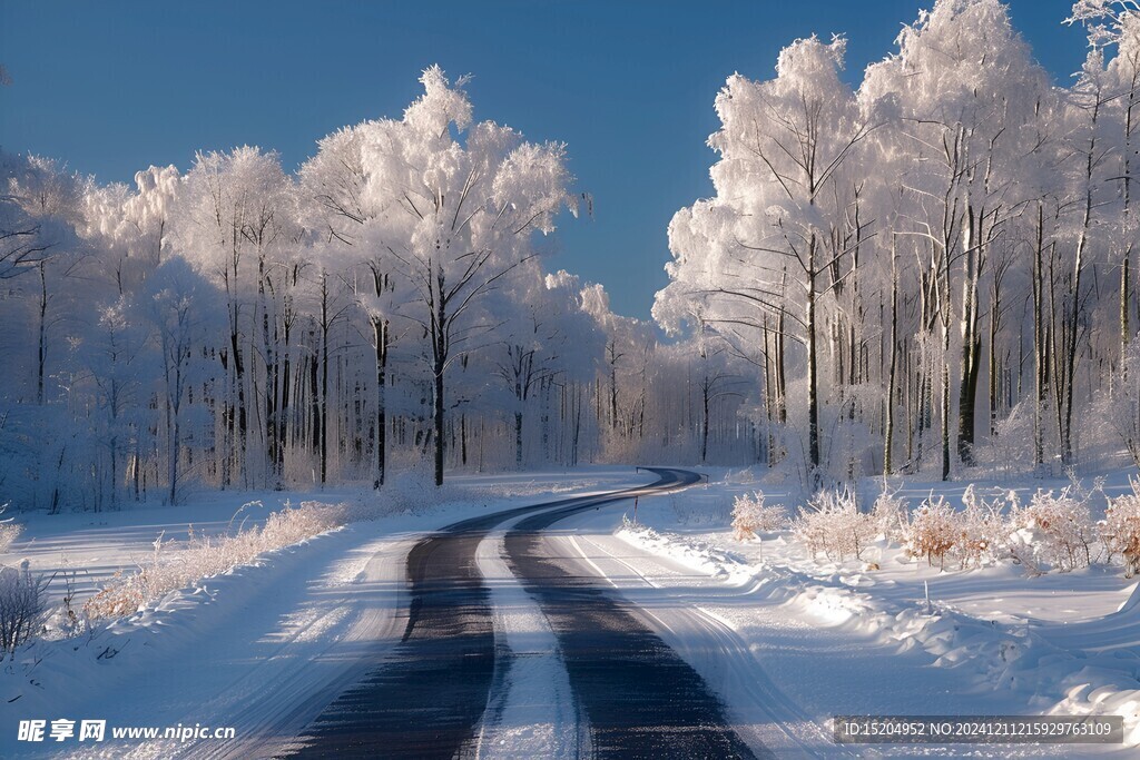 冬日林间道路