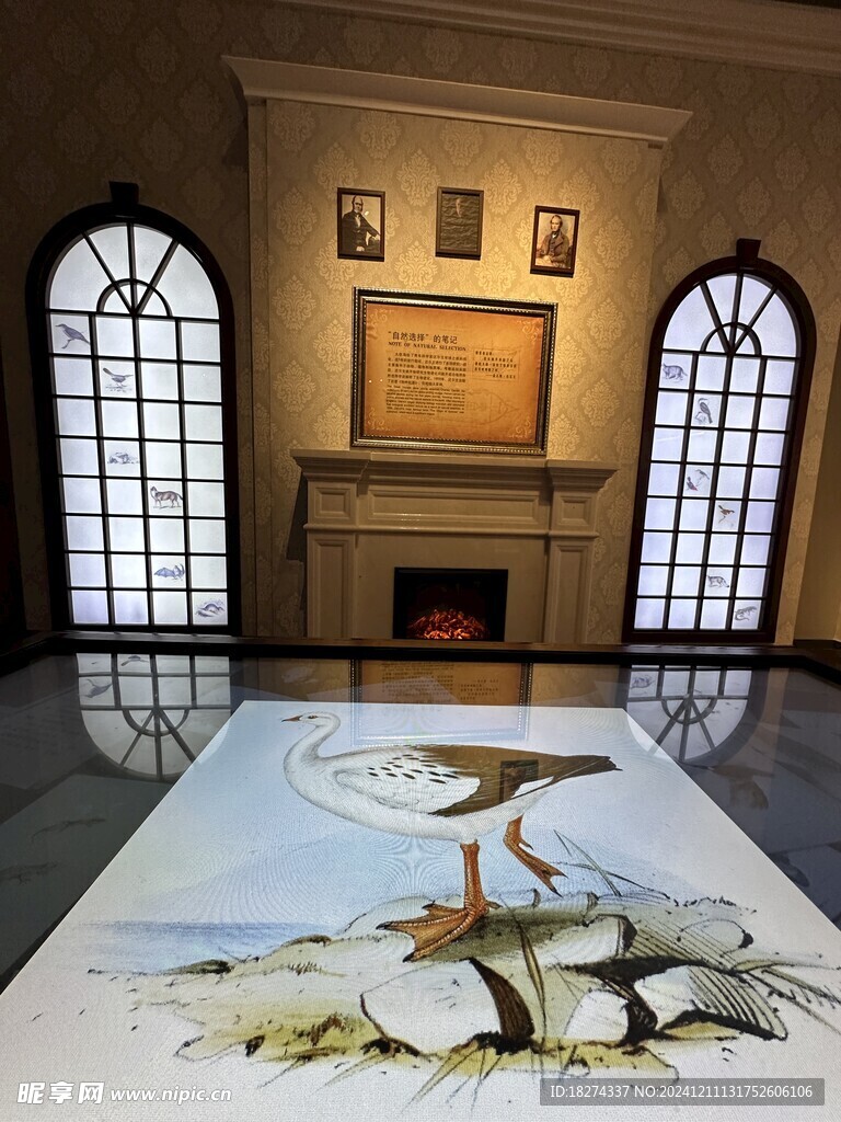 海洋馆陈设鸟类展品