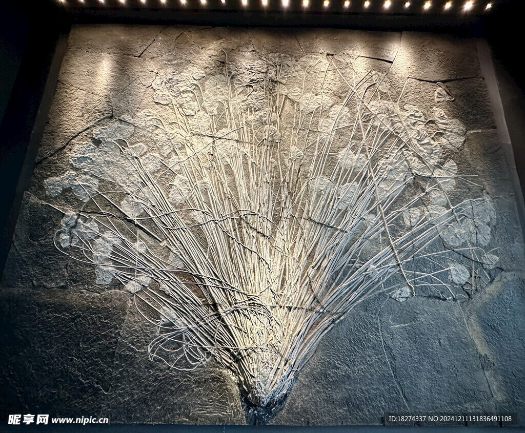 天津海洋馆展品欣赏