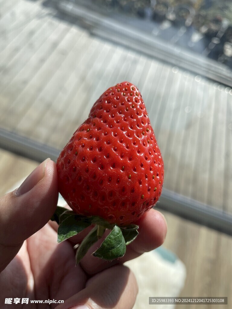 草莓