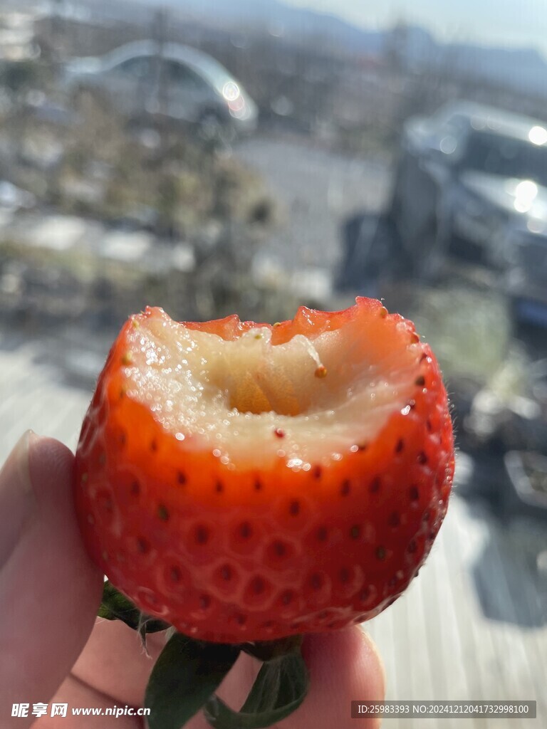 草莓