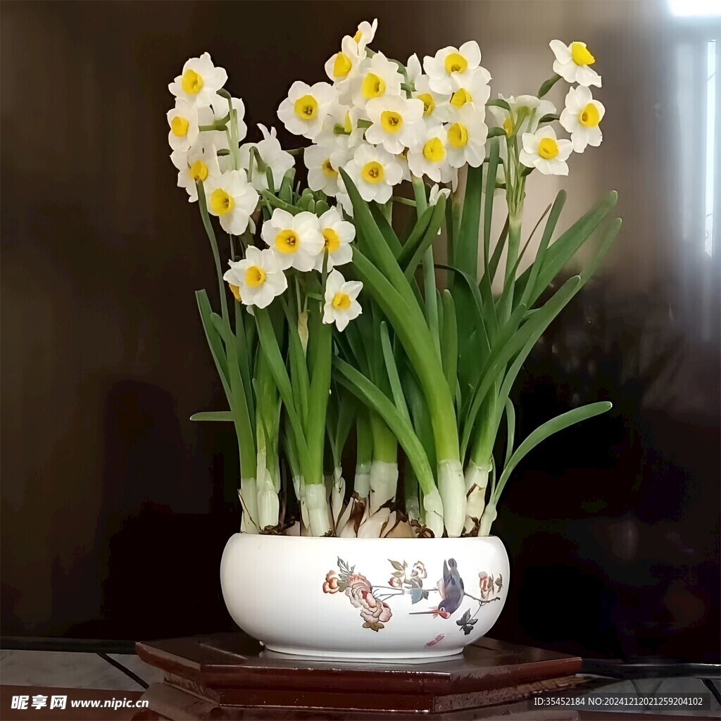 水仙花