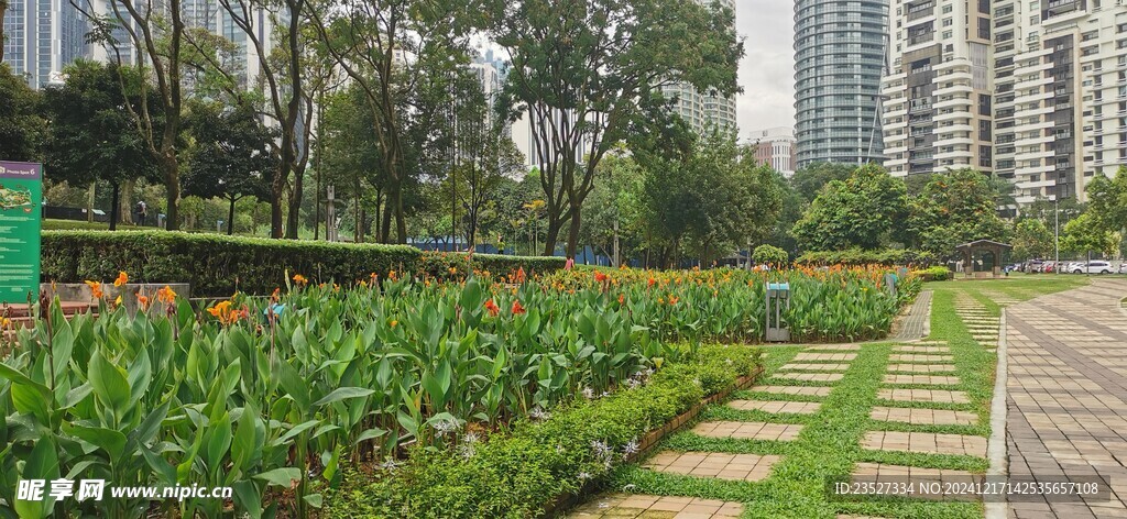  吉隆坡城中城公园一角