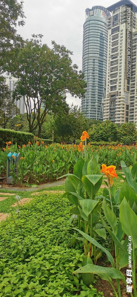  吉隆坡城中城公园一角