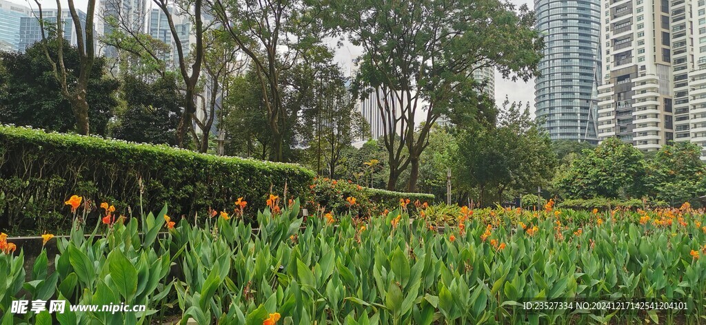  吉隆坡城中城公园一角