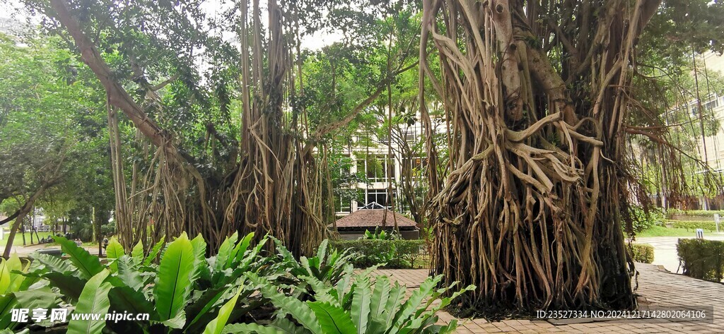  吉隆坡城中城公园一角 