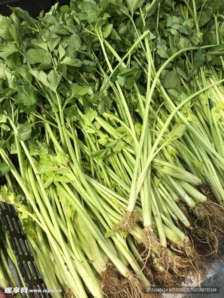 芹菜 