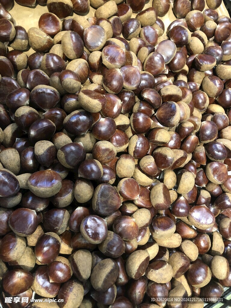 板栗
