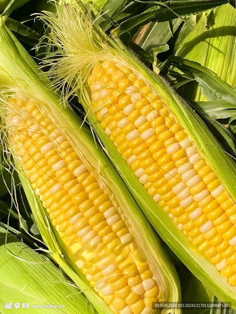 黄糯玉米