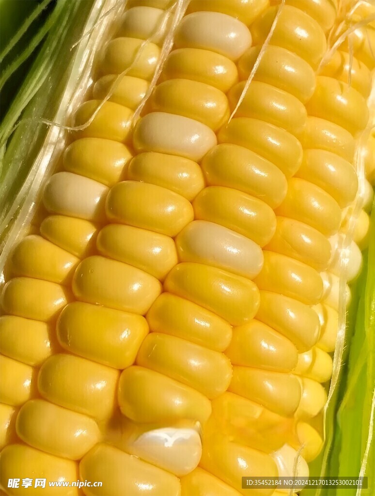 黄糯玉米
