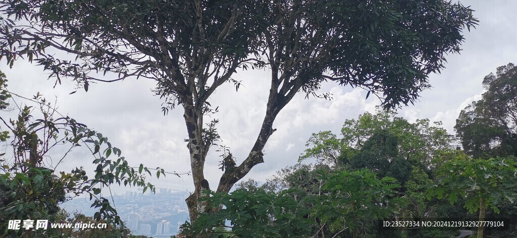 马来西亚槟城升旗山