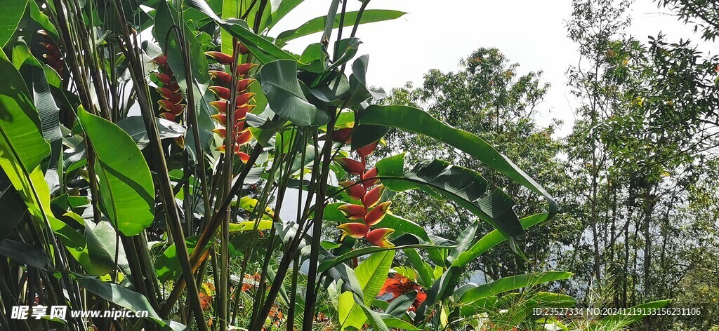 马来西亚槟城升旗山
