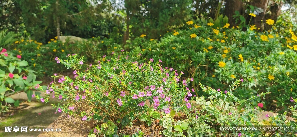 马来西亚 槟城升旗山花圃