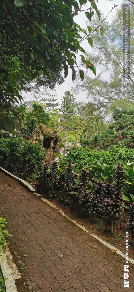 马来西亚槟城升旗山