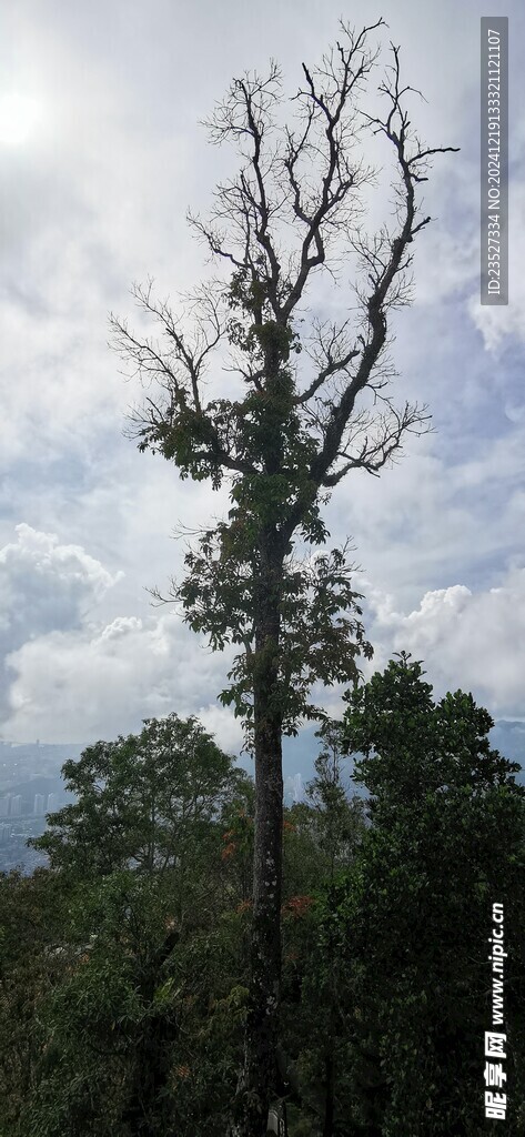 马来西亚槟城升旗山风光