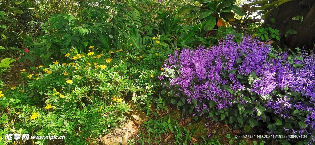 马来西亚槟城升旗山花圃