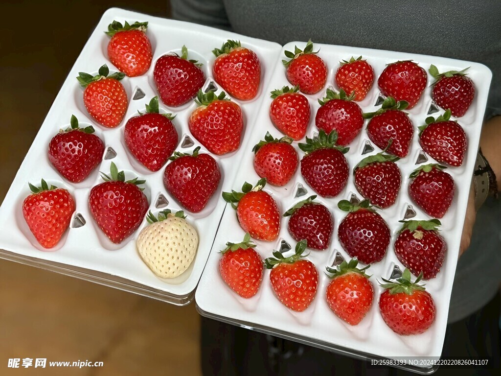 草莓