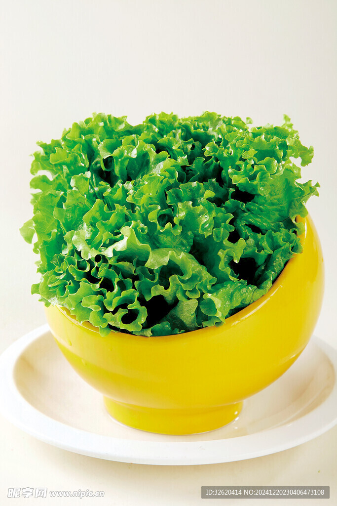 生菜