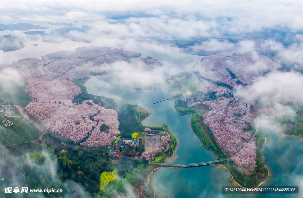 贵阳清镇市红枫湖畔樱花