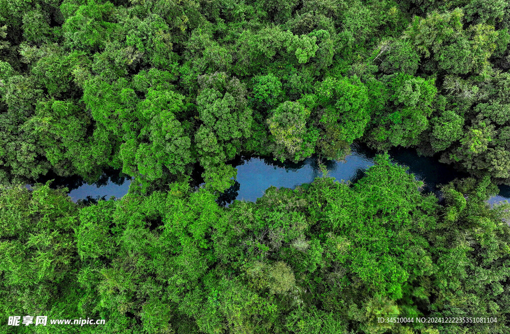 贵州省黔南小七孔水中林