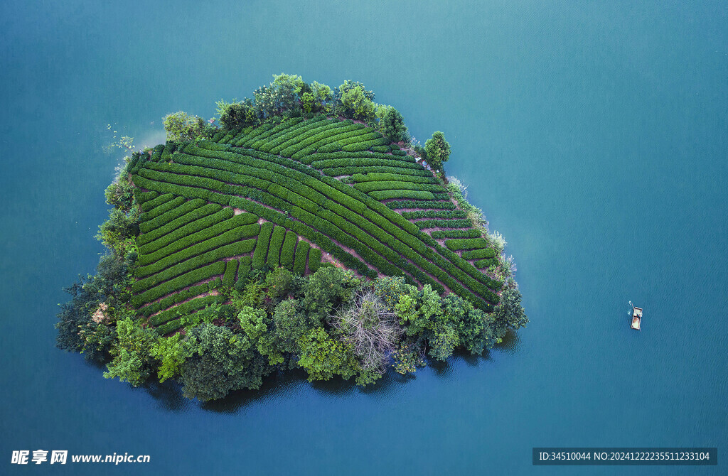 贵州省遵义市湄潭县茶园