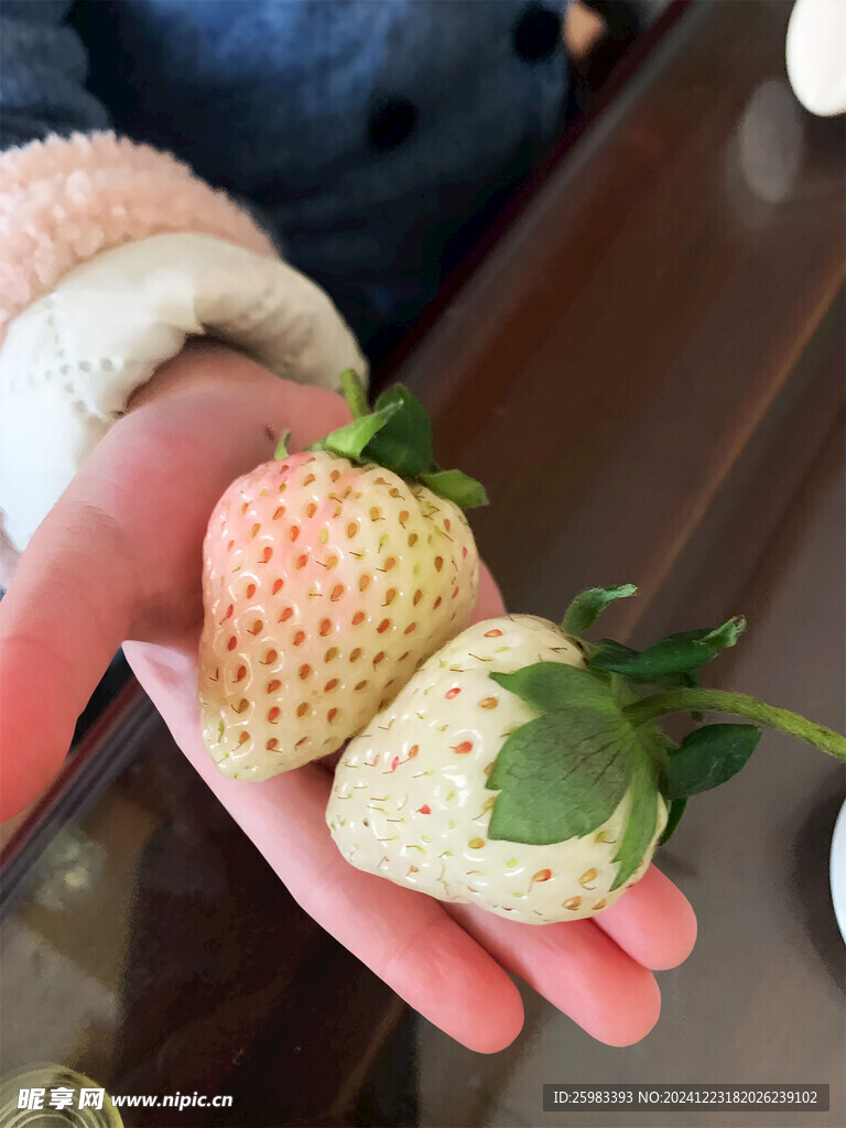 草莓