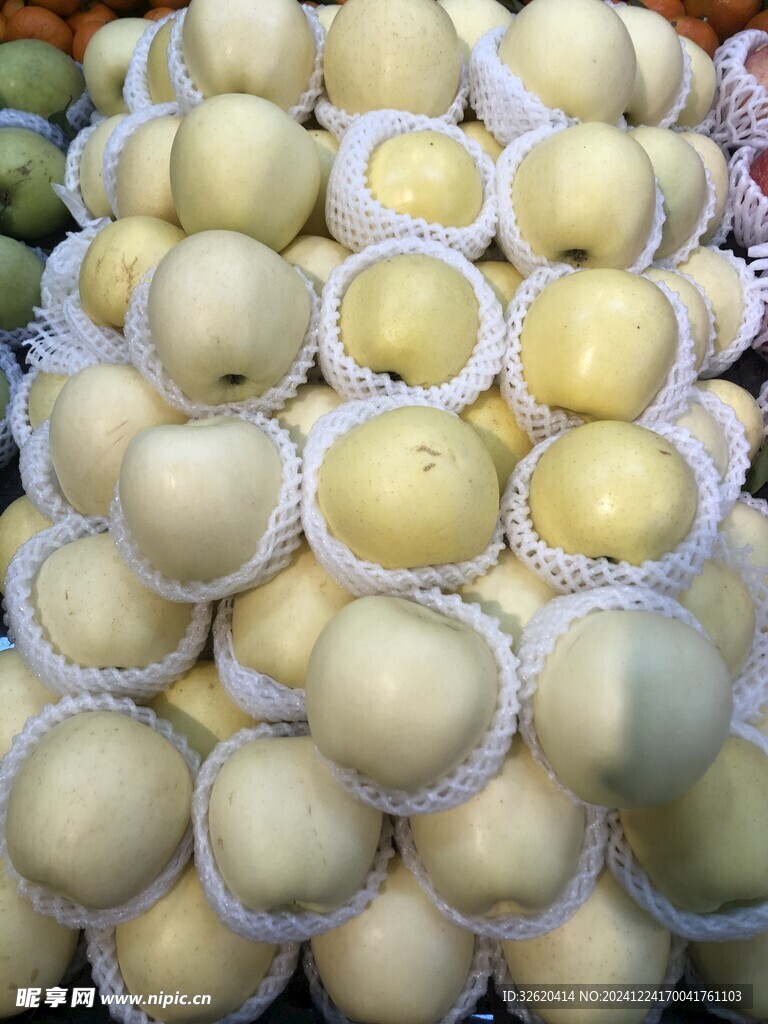 雪梨