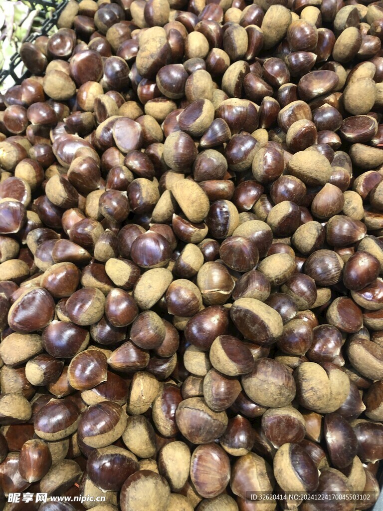 板栗