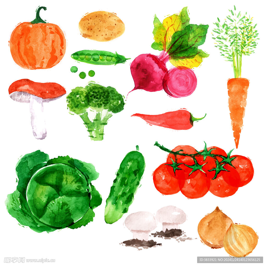彩绘蔬菜素材