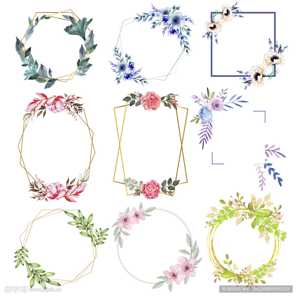 花卉框架素材