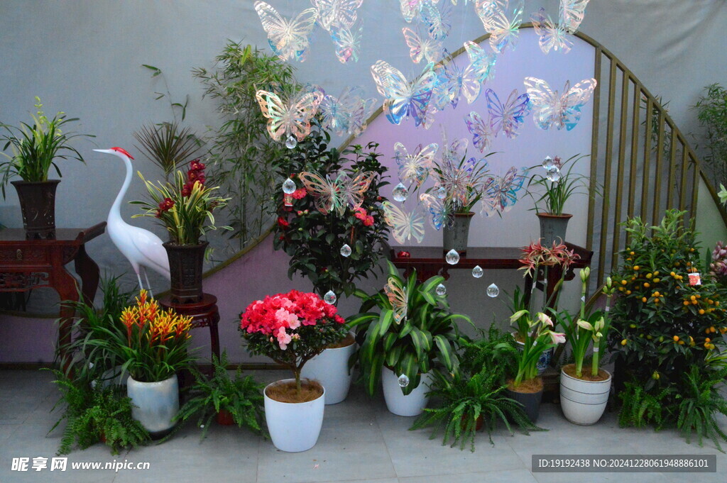 花展  