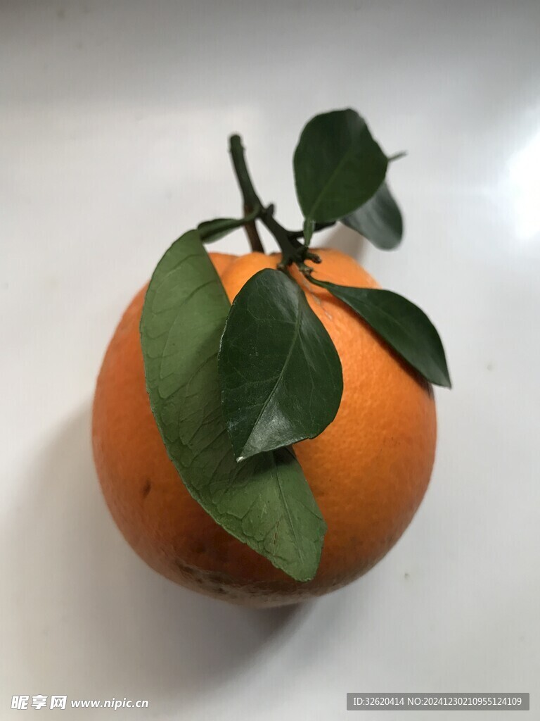 橙子 脐橙