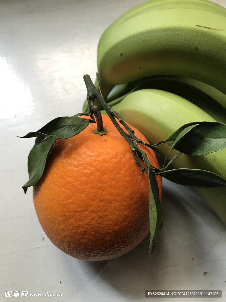 橙子 脐橙