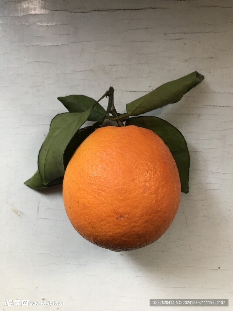 橙子 脐橙