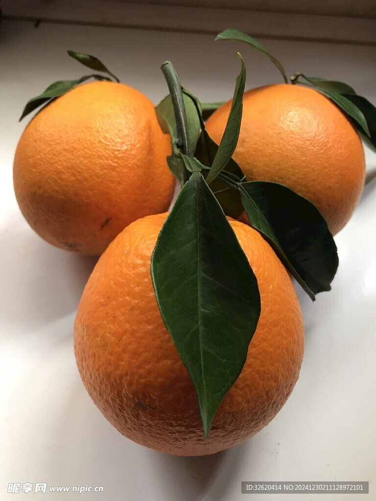 橙子 脐橙
